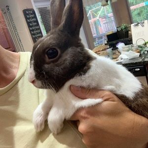 Meet your Posher, Khloe